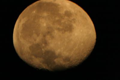 img_7263.jpg